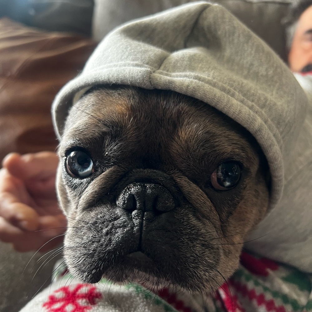 Meet your Posher, Theresa